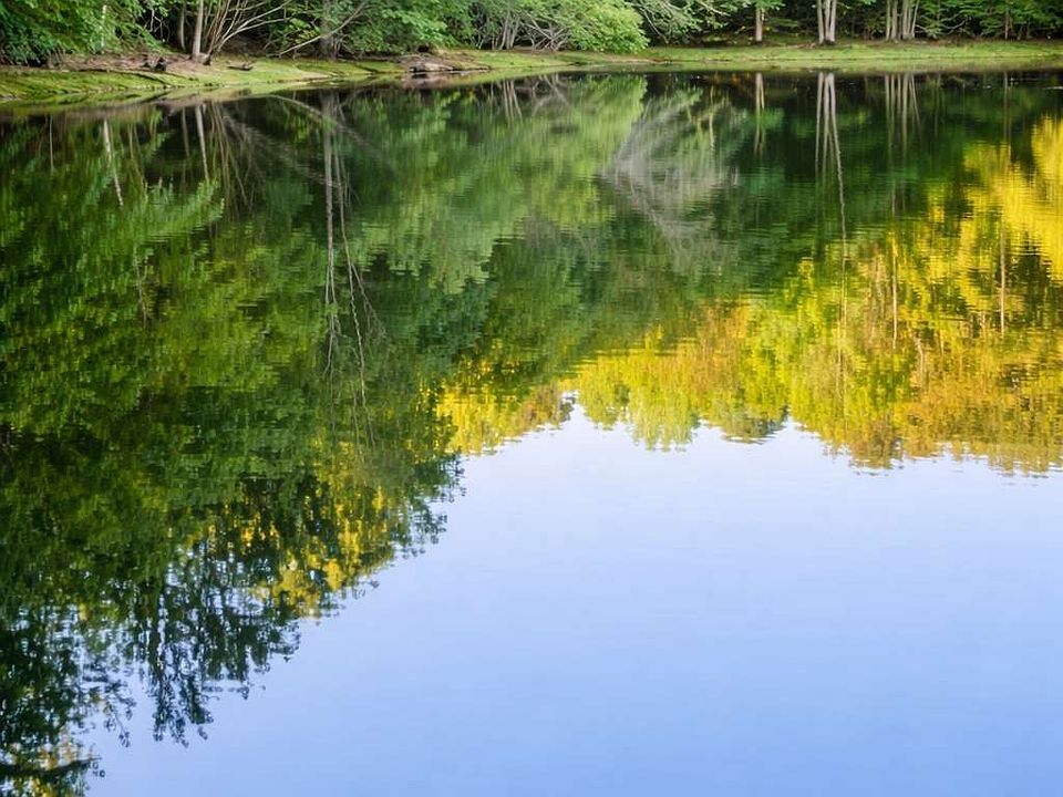 1st image of 0 Malone Rd