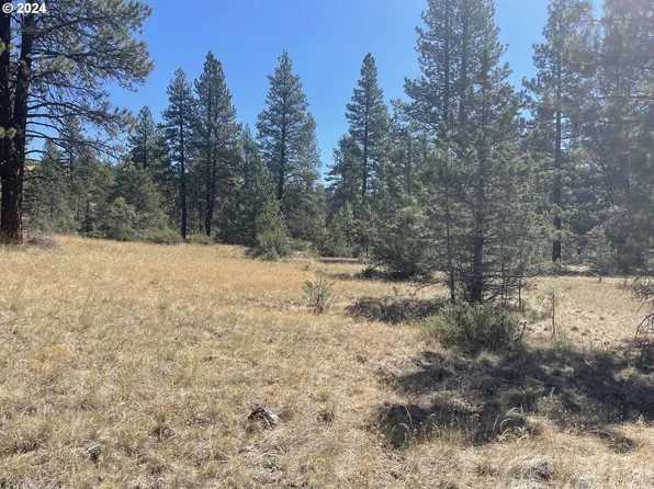 Canary Dr Lot 19, Bonanza, OR 97623