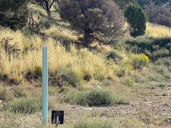 669 E Fiddlers Cove Dr, Cedar City, UT 84721