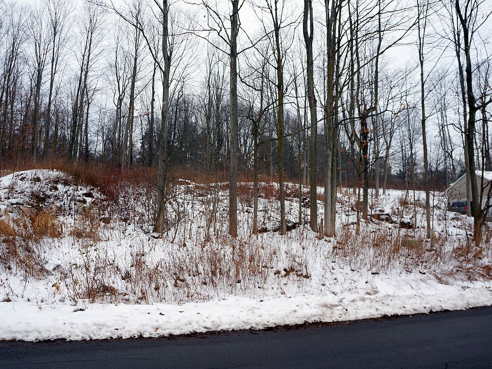 Wooded lot