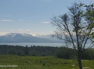 0 McNeil Point Vis, Homer, AK 99603