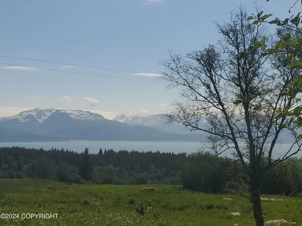0 McNeil Point Vis, Homer, AK 99603