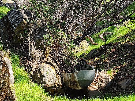 3rd image of 40 Seminole Rd