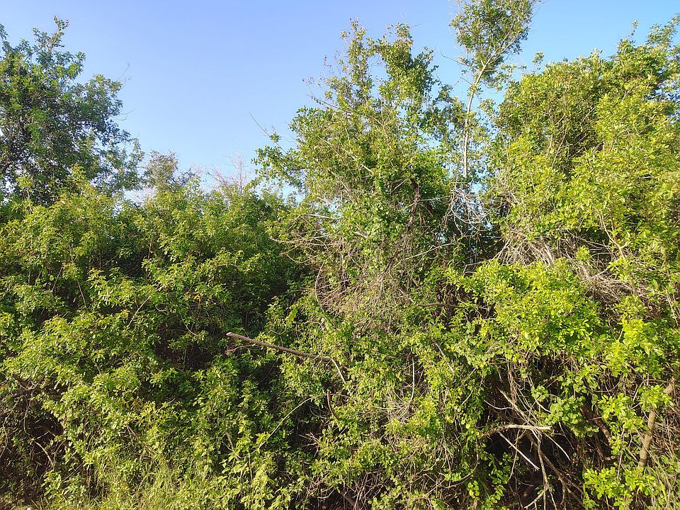 2nd image of 3921 SW Port Saint Lucie Boulevard