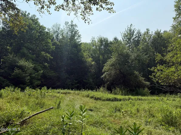 L17 OFF Vanderwalker Road, Chestertown, NY 12817