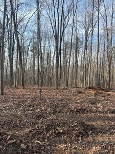7917 Mountain Laurel Trl, Signal Mountain, TN, 37377