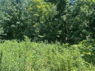 Creek Rd, Conneaut, OH, 44030