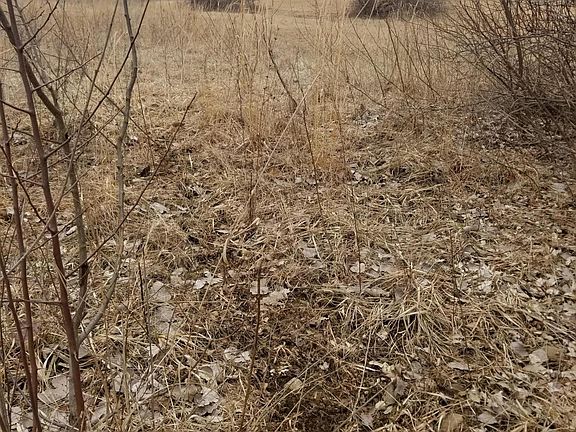 5th image of 6786 Brush Lake Rd