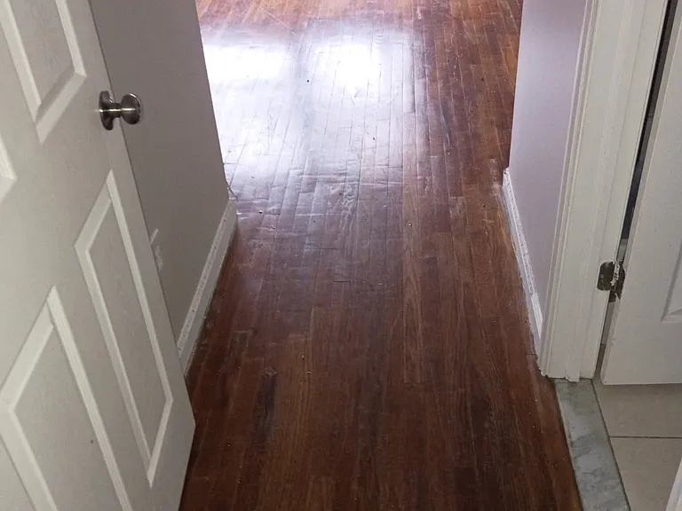 51 Sunset Ave #2 — Photo 2