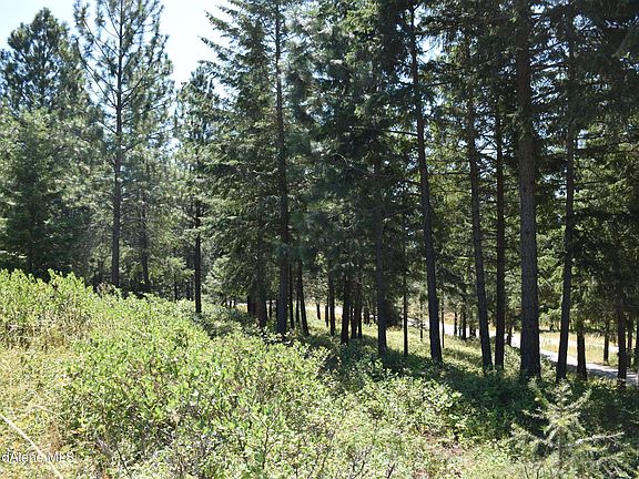 4th image of 3 Chokecherry Dr