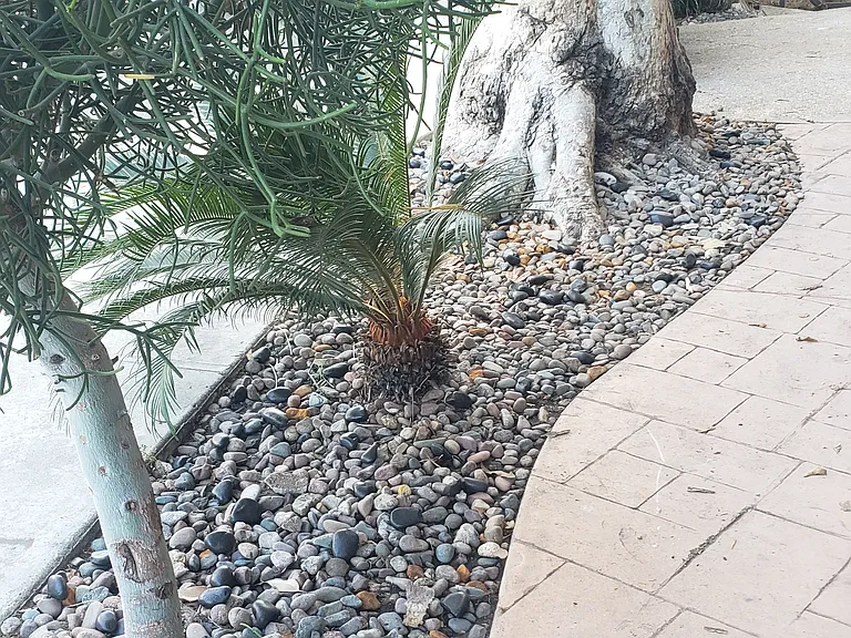 Pershing Dr — Photo 28
