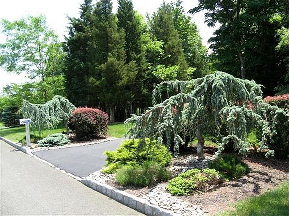 Driveway landscaping