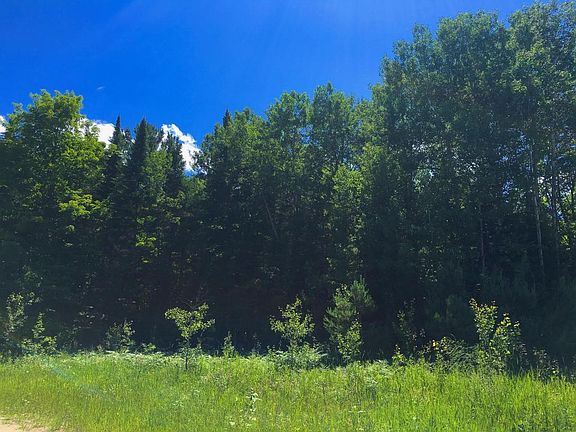 5th image of Old Mackinaw Road 19.38 Acres