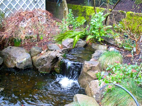 One of three ponds