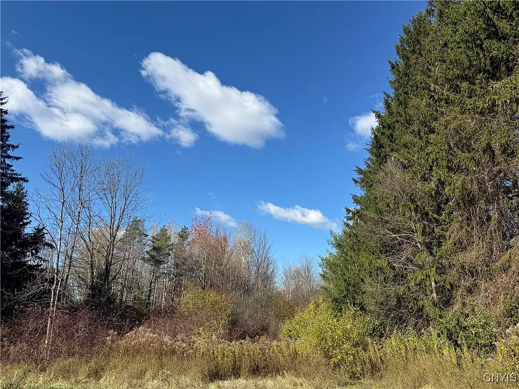 0 Clark Mills Rd #52 photo 1