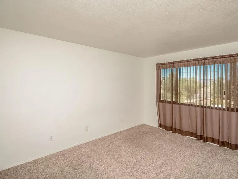 355C N Lake Havasu Ave — Photo 22