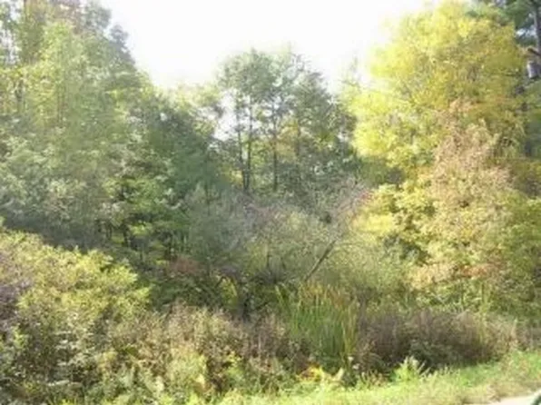 0 134th Ave, Saugatuck, MI 49453