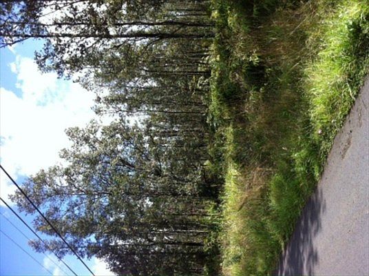 2nd image of Aulii St Lot 19