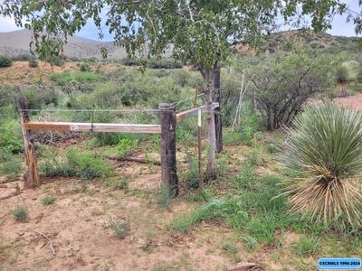 Xx Burro Springs Rd, Silver City, NM, 88061