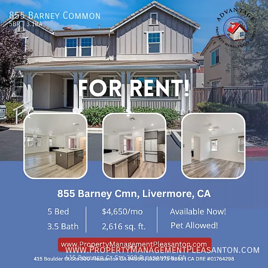 855 Barney Cmn