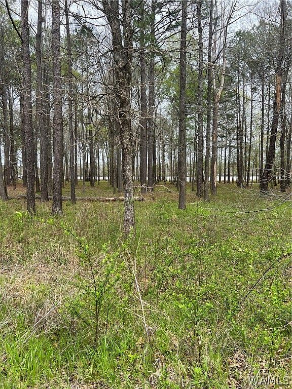 106 & 106A Black Warrior Bay, Akron, AL 35441 MLS 161833 Zillow