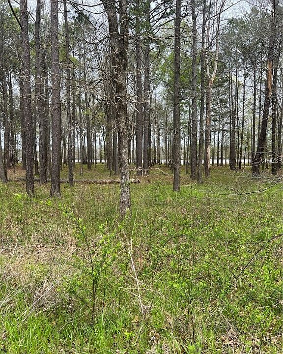 106 & 106A Black Warrior Bay, Akron, AL 35441 MLS 161833 Zillow