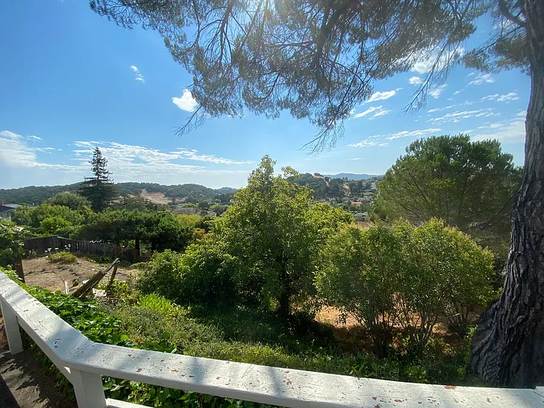 438 Cedar Hill Dr — Photo 24