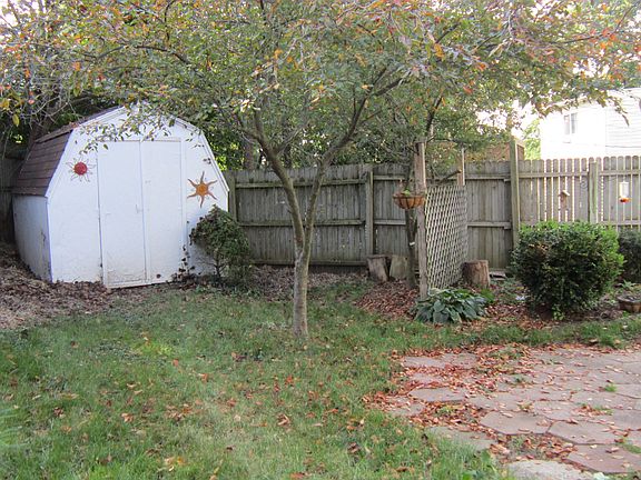 back yard