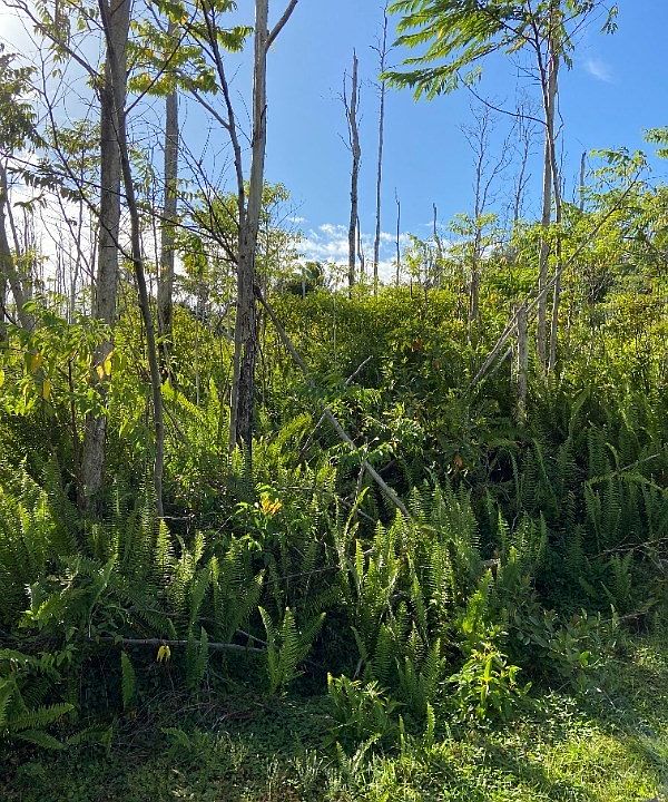 1st image of Makamae St Lot 39