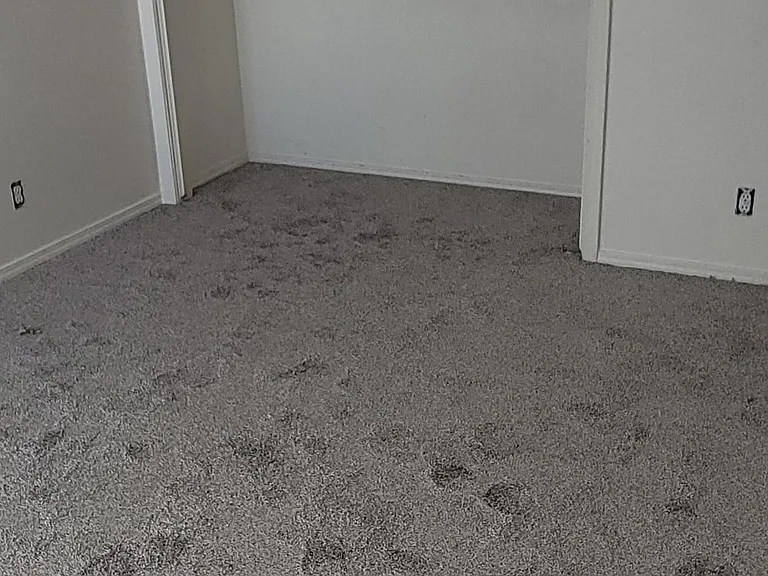 Stace St — Photo 9