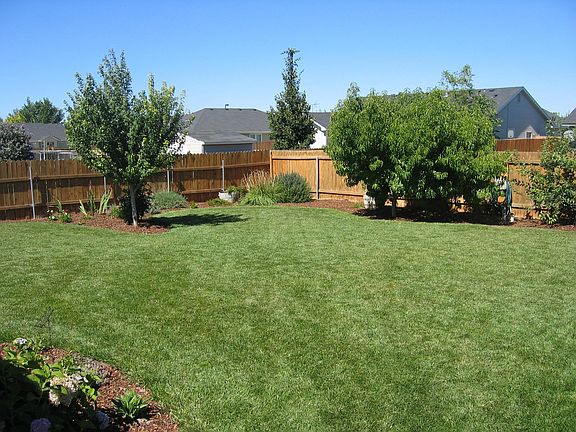 Back view facing north