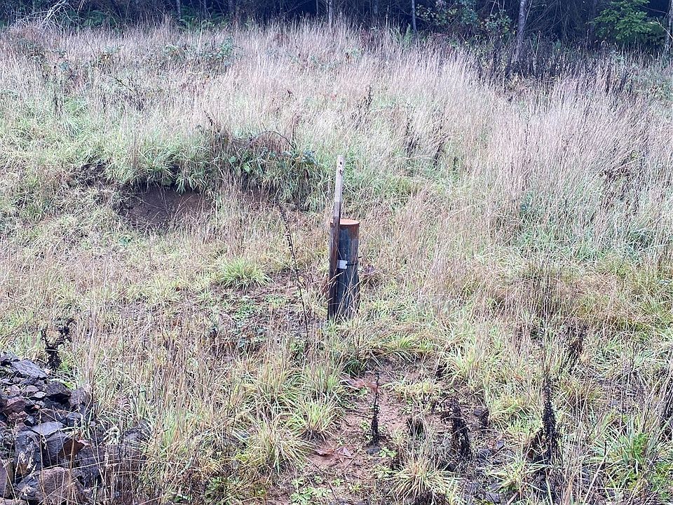 2nd image of 0 Lot G S Goble Creek Road