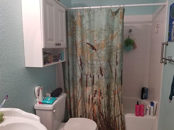 Bathroom (upper level)