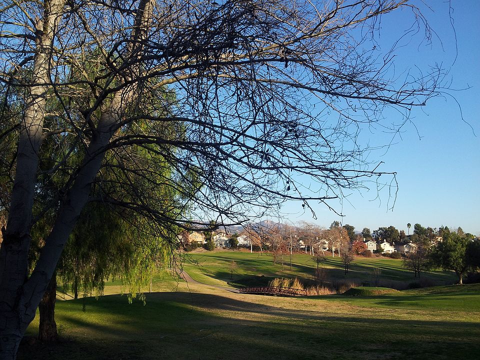 View from back yard patio