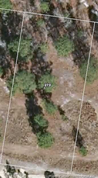 2nd image of 270 Pine Oak
