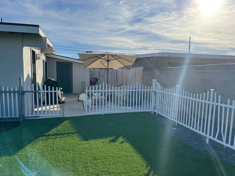 Backyard