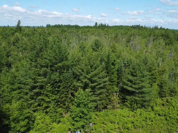 030-007 Cardville Road, Greenbush, ME 04418