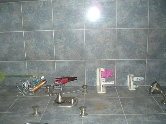 Main Bath Shower Spa