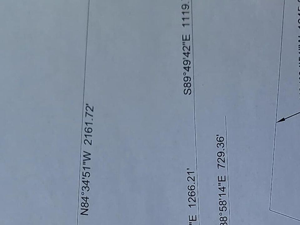 1st image of 000 0000 -- #553B