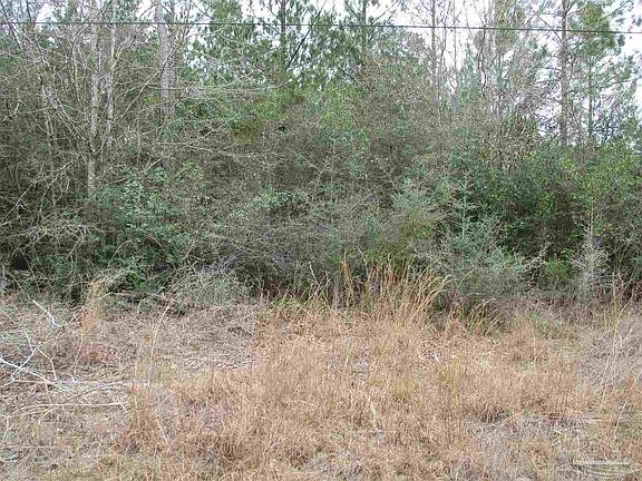 2nd image of 20 Acres Shady Hollow Dr