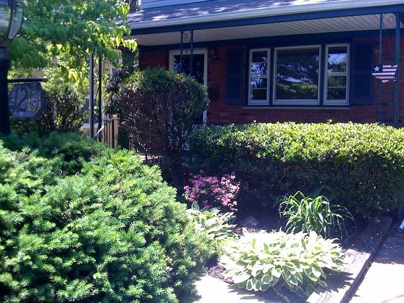Closer Up of Front View