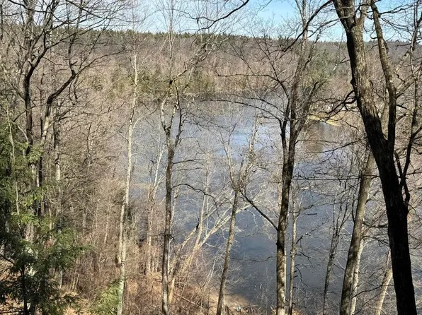 V/l S Teal Ln, Newaygo, MI 49337