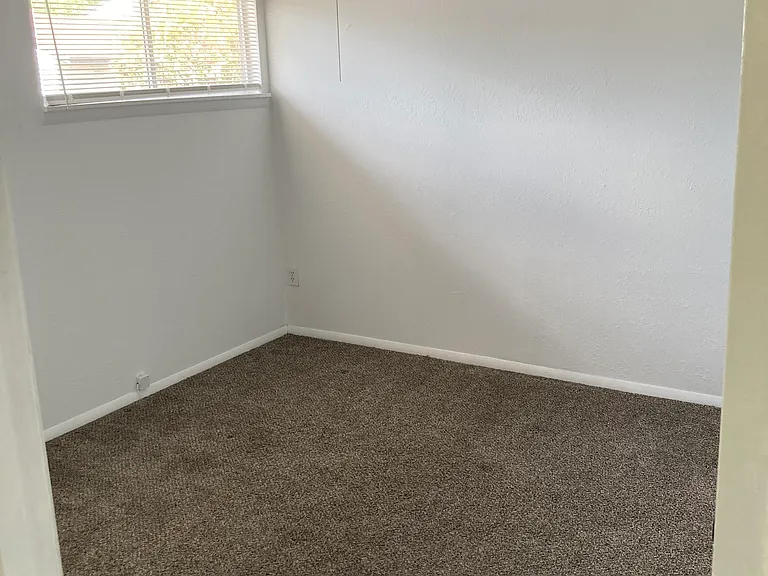 4455 Rayfield Dr — Photo 11