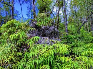 Jungle King Ave LOT 51, Volcano, HI 96785