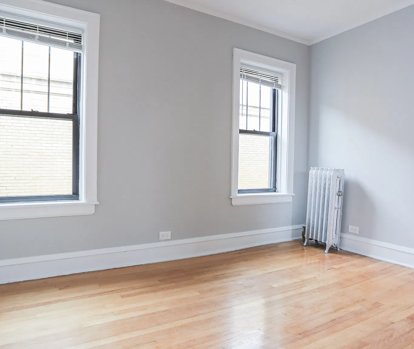 1 bed, $1,550 — Photo 2