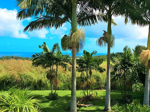 Views views views everywhere