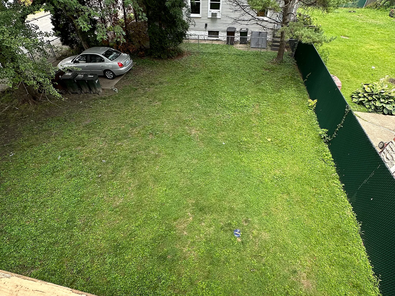 1 bed, 800 sqft, $900 — Photo 4