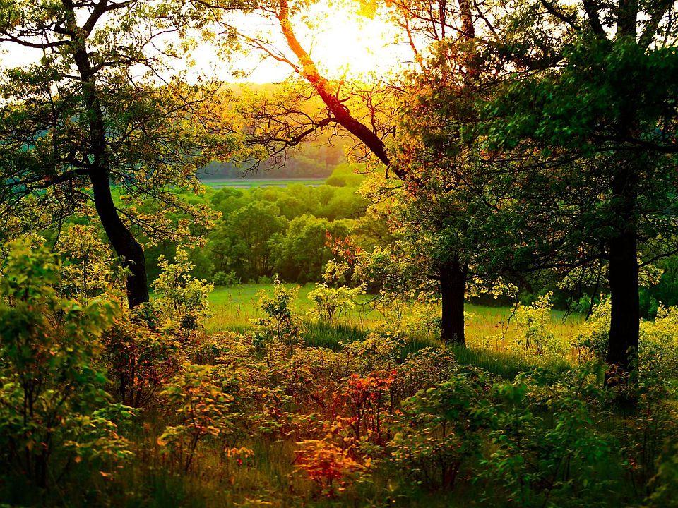 River Dr, Houston, MN 55943 MLS 6408778 Zillow