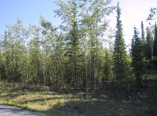 2LOT S Ea Redfox Dr, Tok, AK 99780