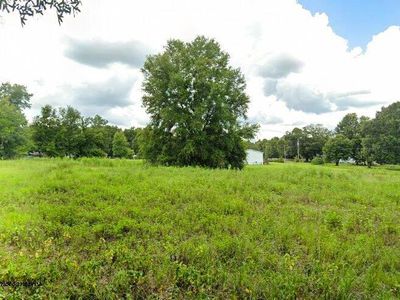9810 Belle Smith Rd, Thonotosassa, FL, 33592